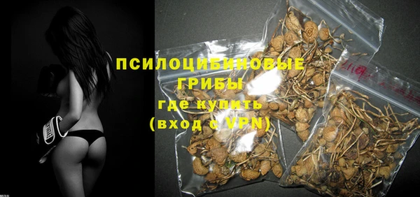 СК Абдулино