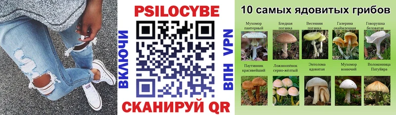 Галлюциногенные грибы GOLDEN TEACHER Чита